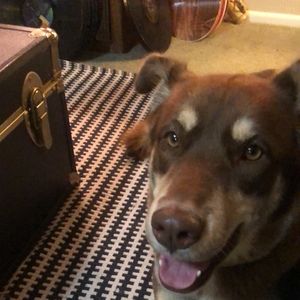 Meet your Posher, Meaghan